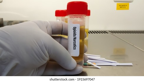 Laboratory Sample Of Urine For Drugs Test With Test Strips. Drug Test Is Technical Analysis Of Specimen To Determine Illegal Drug Abuse As Narcoties, Methadones, Heroin And Alcohol Level.