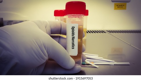 Laboratory Sample Of Urine For Drugs Test With Test Strips. Drug Test Is Technical Analysis Of Specimen To Determine Illegal Drug Abuse As Narcoties, Methadones, Heroin And Alcohol Level.