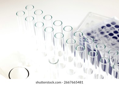 Laboratory scene with multiple test tubes arranged in rows. A clear petri dish with blue wells is visible in the background. Clean and organized workspace.