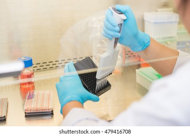 Laboratory Scientist Working At Lab With Test Tubes Coronavirus/covid-19/ Science Laboratory Test Tubes/the Research Of Cancer Stem Cells.