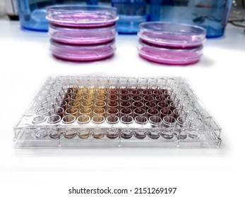 Laboratory Setup For Biocompatibility Assessment Of New Substances By The Means Of MTT Assay And Cytotoxicity Analysis.