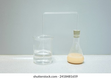 Laboratory setup to demonstrate that a mixture of yeast and barley malt extract produces carbon dioxide. Used as a demonstration in biology class. - Powered by Shutterstock