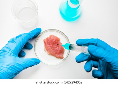 Laboratory Studies Of Meat In Petri Dish. View From Above. Chemical Experiment.