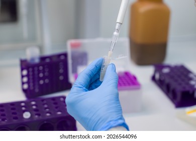 Laboratory Technician Isolates Viral RNA From Human Cells