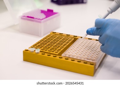 Laboratory Technician Performes PCR To Analyze Viral RNA In Human Cells