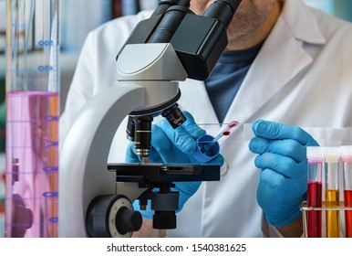 Laboratory technician preparing a sample to analyze in the lab / Microscopist holding a slide containing a blood sample for use with the microscope in the laboratory