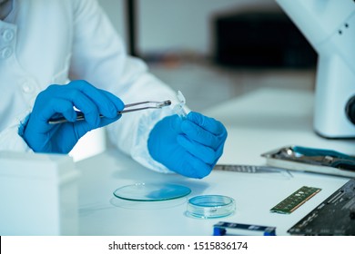 Laboratory Technician Working Chip Implants Stock Photo 1515836174 ...