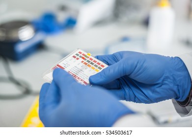 Laboratory technician working with test strips indicator paper in the medical or scientific lab