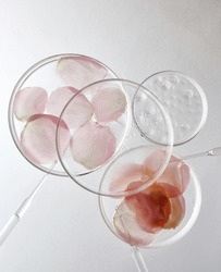 Laboratory Ware Rose Petal Pure Dew Essence Purification Scientific Skin Care