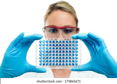 laboratory woman examining a 96 well microplate in hand. isolated on white