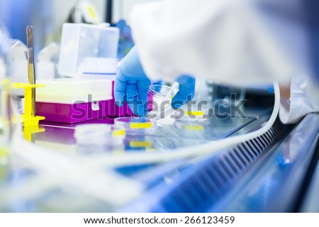 Laboratory work with cells and tissue cultures in lab