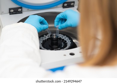 Laboratory Worker Puts Chemical Tubes Into The Centrifuge. Biochemistry And Research Laboratory Concept. DNA And Pharmaceutical Analysis. 