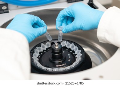 Laboratory Worker Puts Chemical Tubes Into The Centrifuge. Biochemistry And Research Laboratory Concept. DNA And Pharmaceutical Analysis. 