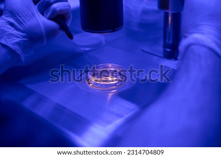 Laboratory worker selecting embryos for transferring in clinic