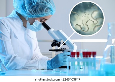 Laboratory worker using modern microscope to examine helminths indoors. Zoomed view on parasitic worms