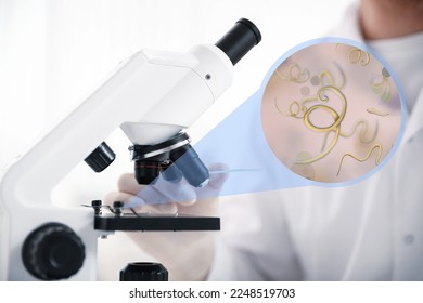Laboratory worker using modern microscope to examine helminths, closeup. Zoomed view on parasitic worms