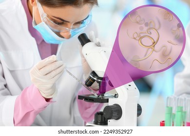 Laboratory worker using modern microscope to examine helminths indoors. Zoomed view on parasitic worms