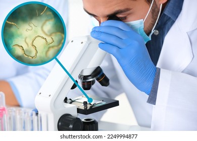 Laboratory worker using modern microscope to examine helminths indoors. Zoomed view on parasitic worms