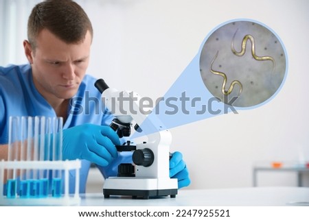 Laboratory worker using modern microscope to examine helminths indoors. Zoomed view on parasitic worms