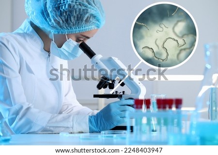 Laboratory worker using modern microscope to examine helminths indoors. Zoomed view on parasitic worms