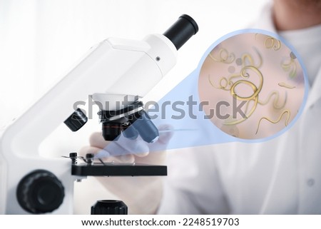 Laboratory worker using modern microscope to examine helminths, closeup. Zoomed view on parasitic worms