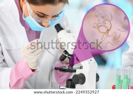 Laboratory worker using modern microscope to examine helminths indoors. Zoomed view on parasitic worms