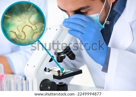 Laboratory worker using modern microscope to examine helminths indoors. Zoomed view on parasitic worms