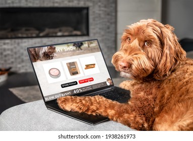 Labradoodle dog ordering online by internet for home delivery. Paws on laptop with a food shopping product selection. Concept for pets using technology, or animals imitating humans. Selective focus. - Shutterstock ID 1938261973