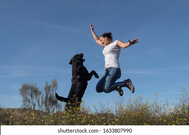 Labrador dog with middle-aged woman jumping together with joy in nature.