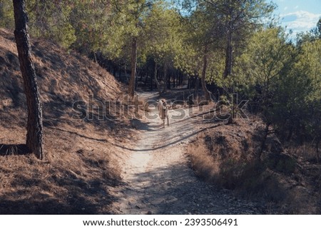 Similar – Image, Stock Photo Girl waiting at the side of the snowy mountain road looking down