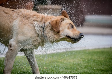 1,468 Fast shutter speed water Images, Stock Photos & Vectors ...