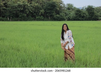 Labuan Bajo, Indonesia - March 05, 2019: A Beautiful And Charming Asian Girl Wearing A White Kebaya And Batik Sarong Is Around The Rice Fields.