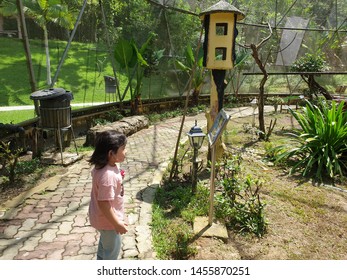 5000+ Gambar Burung Kakak Tua Kartun Terbaik 5000+ Gambar Burung Kakak Tua Kartun Terbaik