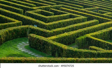 Labyrinth Garden - Shutterstock ID 495074725