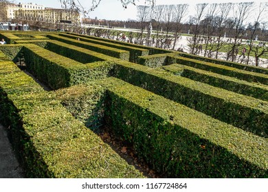 Labyrinth Hedge Maze Aerial View