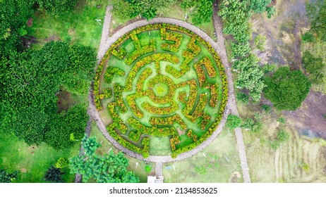 Labyrinth In The Middle Of Penjaringan City Forest Park In Jakarta Indonesia With Angel Eyes Bird