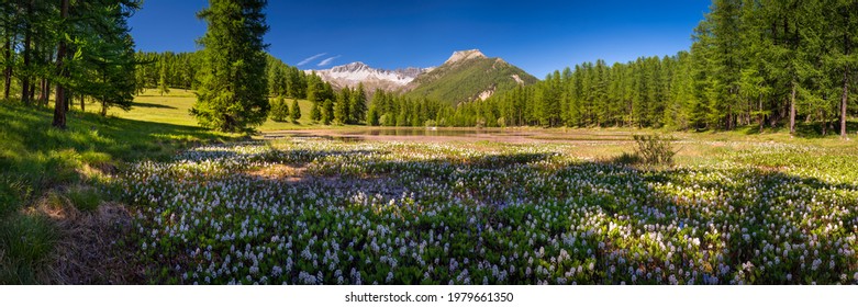 Lac High Res Stock Images Shutterstock