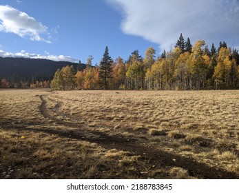 Lacey Meadows, Tahoe City, CA