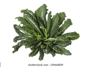 Lacinato Kale Isolated On White