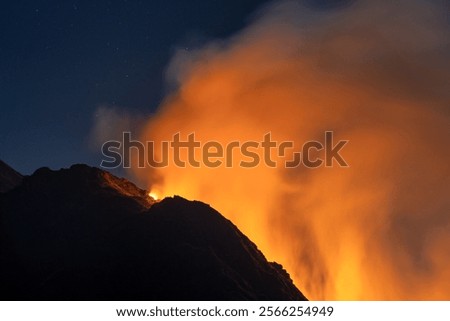 Similar – Image, Stock Photo Then the forest continues to grow blithely on the roof of the building