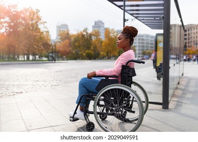 Lack Of Public Transport For Disabled People. Young Black Paraplegic Woman In Wheelchair Feeling Upset, Waiting On Bus Stop In Autumn, Cannot Board Vehicle Suitable For Handicapped Persons, Copy Space