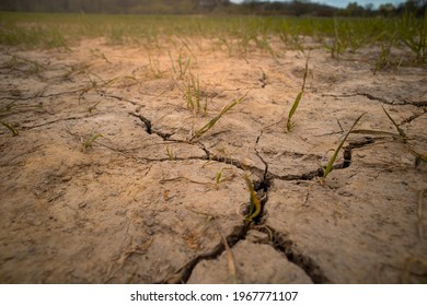 Lack Of Rain Causing Cracked Earth And Failed Crops On The Farm Global Warming Issues