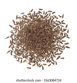 Lactuca Sativa Var Seed On White Background