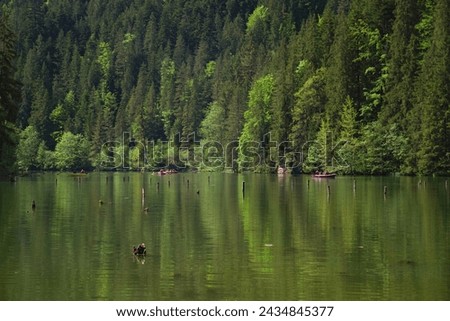 Lacu Rosu lake in Transylvania, Romania, Europe. Lacu Rosu is a popular travel destination in Romania, close to Cheile Bicazului and Ceahlau Mountains. Red lake is a natural barrier dam lake