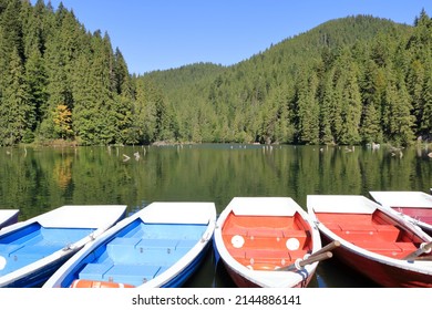 9,143 Red Lake County Images, Stock Photos & Vectors | Shutterstock