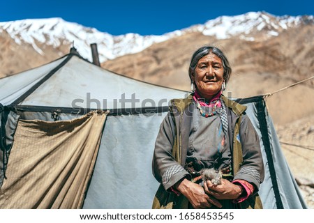 LADAKH, KASHMIR, INDIA – JUNE 22, 2019: Nomadic people. They live for several months a year in tents, looking for fresh pastures for their goats, from which comes cashmere wool. In Ladakh, India.