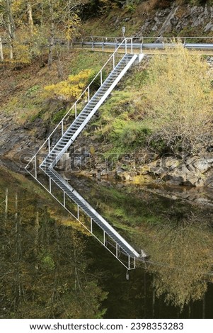 A ladder is reflected in the water of the Albstausee near Sankt Blasien