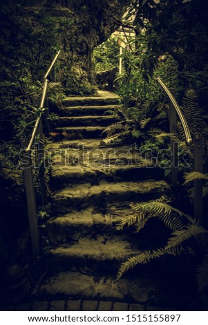 Similar – stairs with moss in the middle of a dark forest