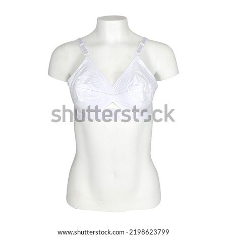 Ladies Bra, undergarments, underwear on a mannequin