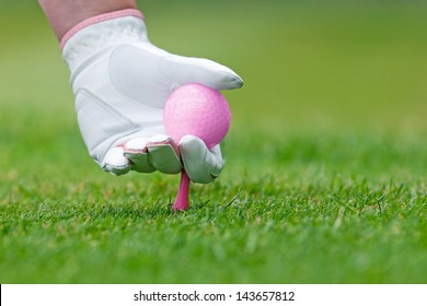 A ladies hand in white leather glove holding a pink golf ball placing a tee into the ground.